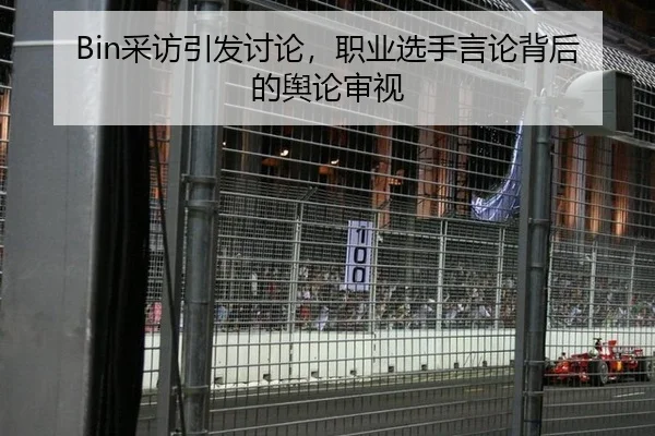 Bin采访引发讨论，职业选手言论背后的舆论审视